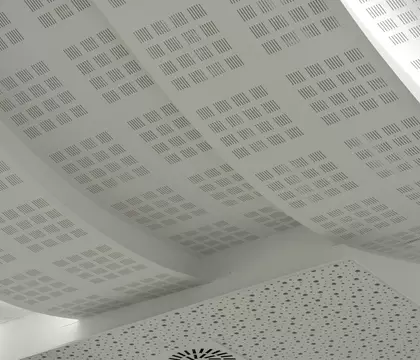 Big Curve 6 Gyptone Tiles (Ceilings Image)