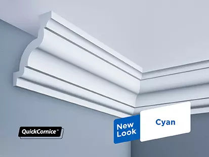 QC #4 Cyan-(413-x-310)